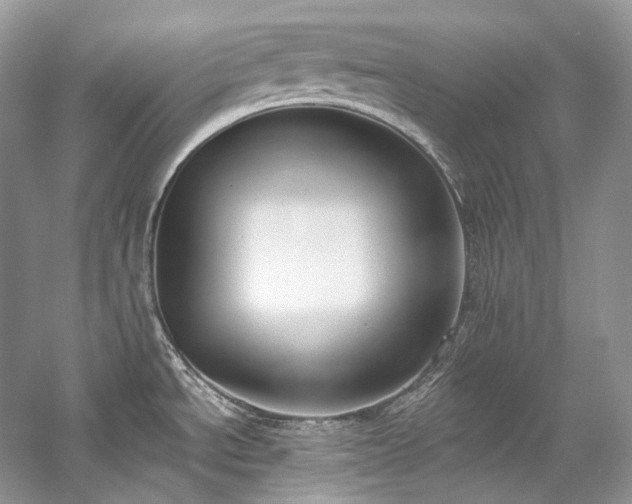 X0000059791534200510211104