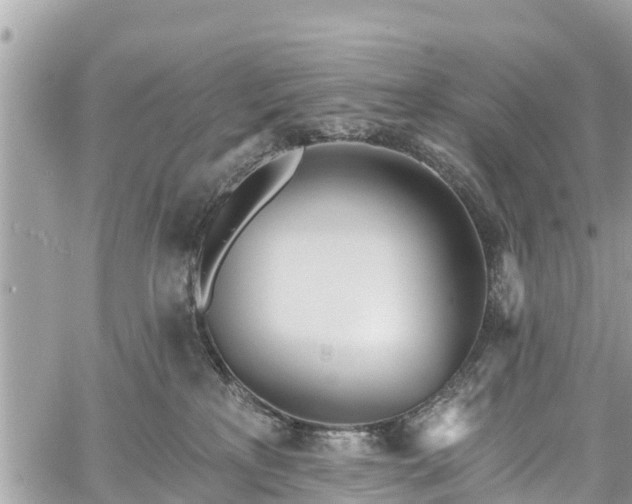 X0000059790233200510241331