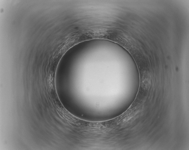 X0000059790866200510241321