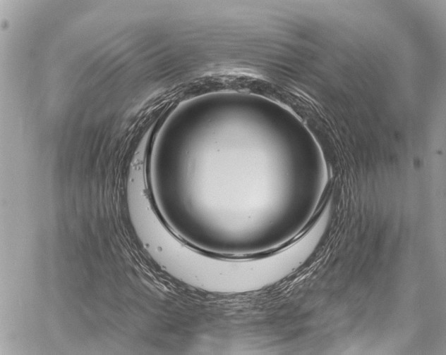 X0000059791014200510241318