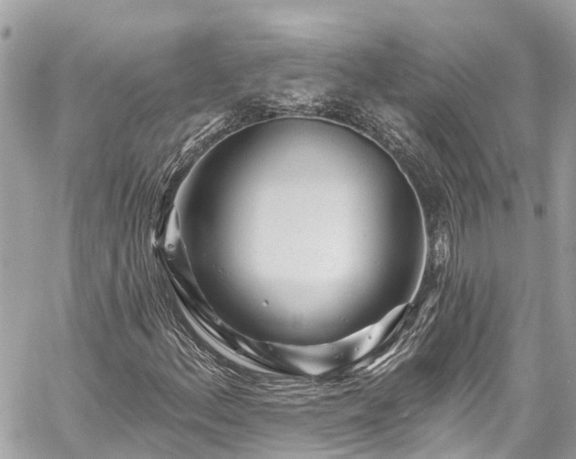 X0000059791156200510241316