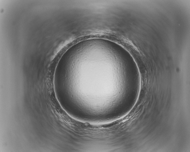 X0000059791256200510241314