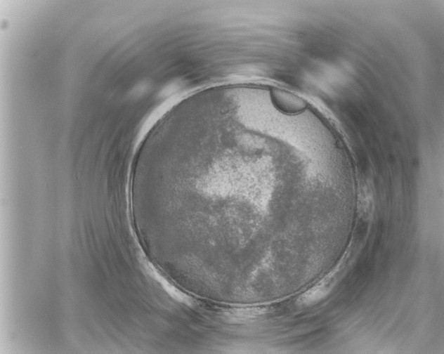 X0000059791294200510241314