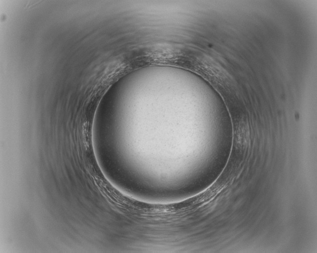 X0000059791346200510241313