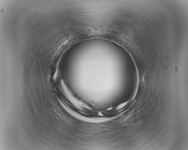 X0000059791348200510241313