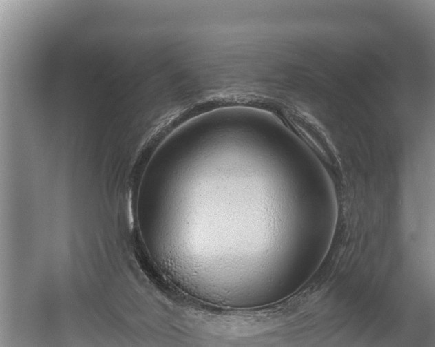 X0000059790020200510281624