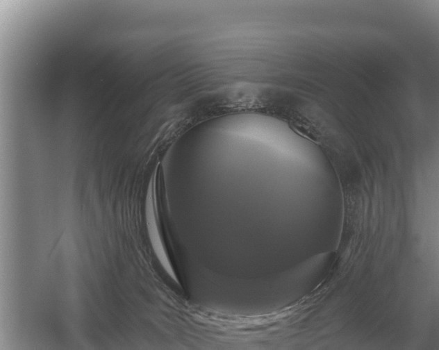 X0000059790035200510281624
