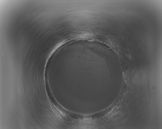 X0000059790196200510281621