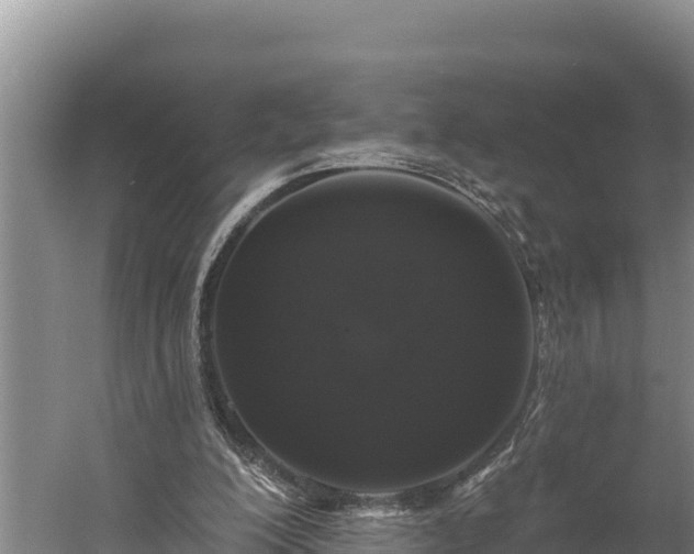 X0000059790200200510281621