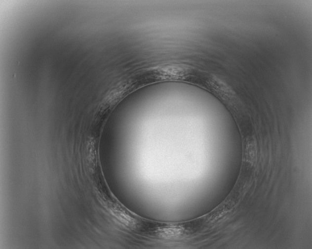X0000059790318200510281619