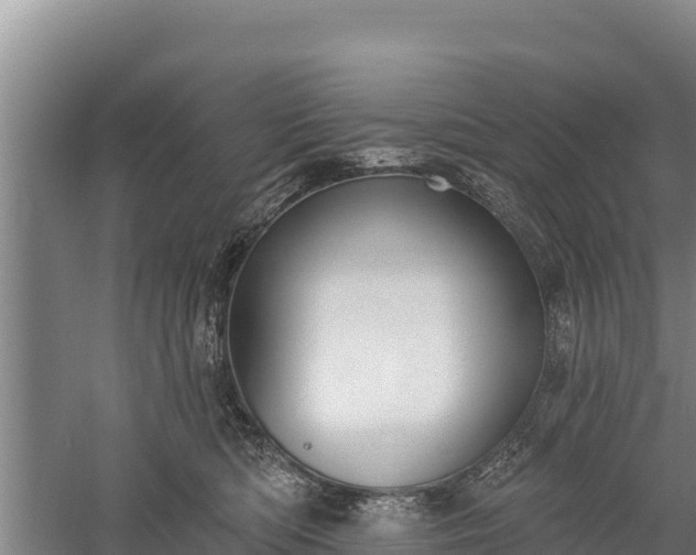 X0000059790422200510281617
