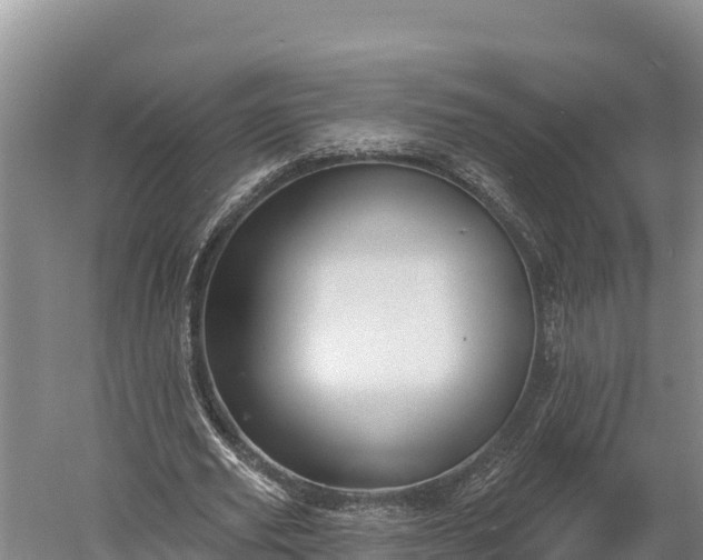 X0000059790629200510281613