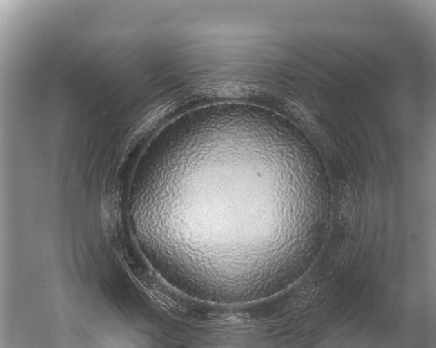 X0000059790683200510281613