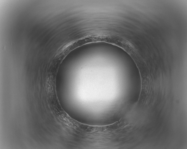 X0000059790773200510281611