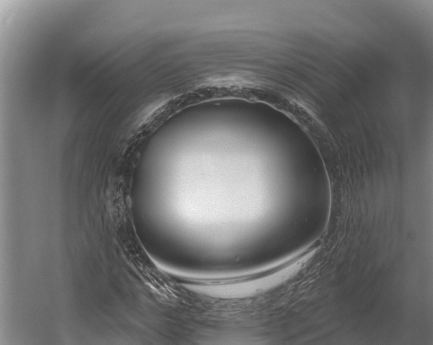 X0000059790968200510281608
