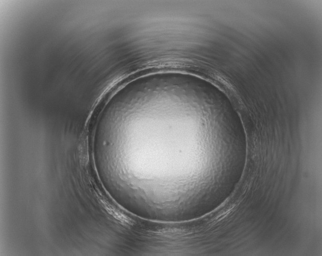 X0000059791075200510281606
