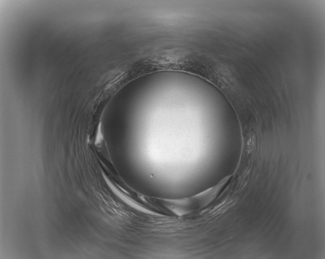 X0000059791156200510281605