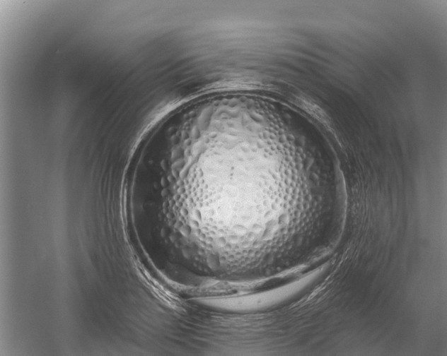 X0000059791179200510281604
