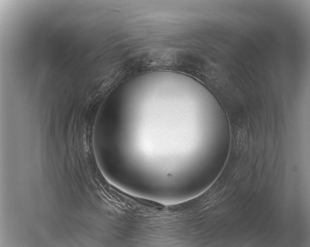 X0000059791250200510281603