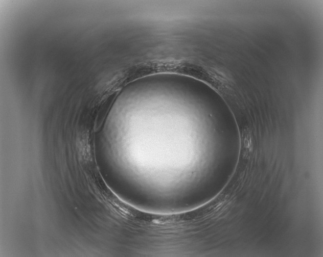 X0000059791252200510281603