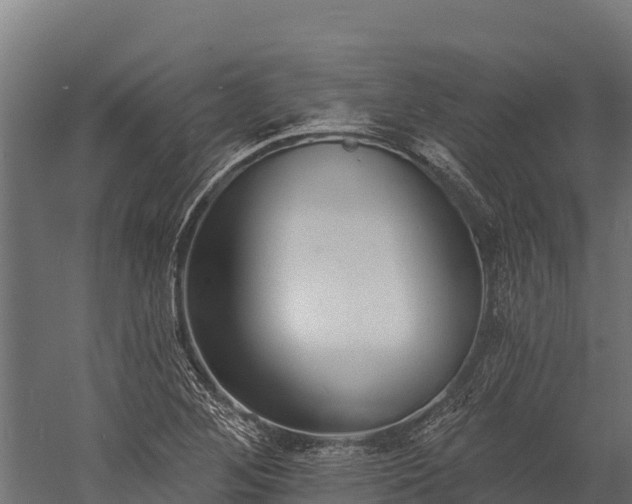 X0000059791268200510281603