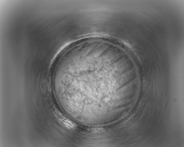 X0000059791310200510281602