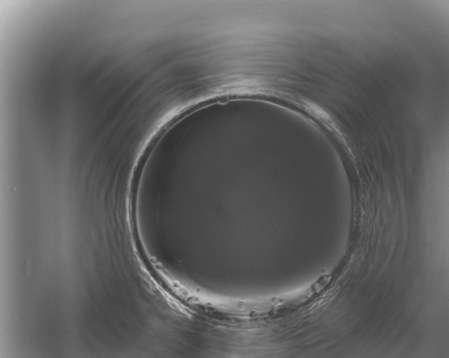 X0000059791334200510281602