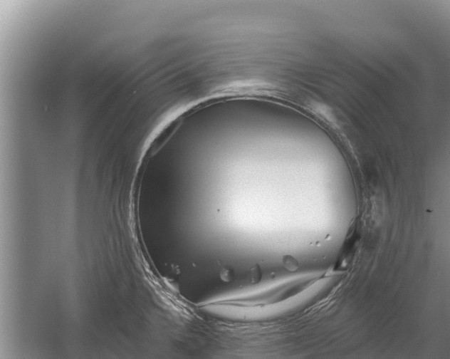 X0000059791336200510281602