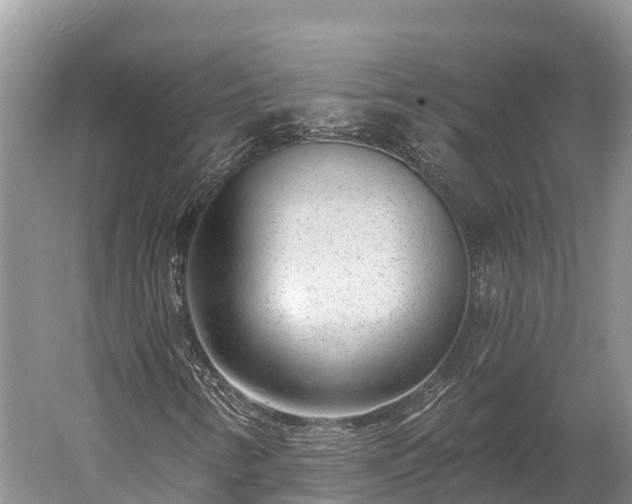 X0000059791346200510281602