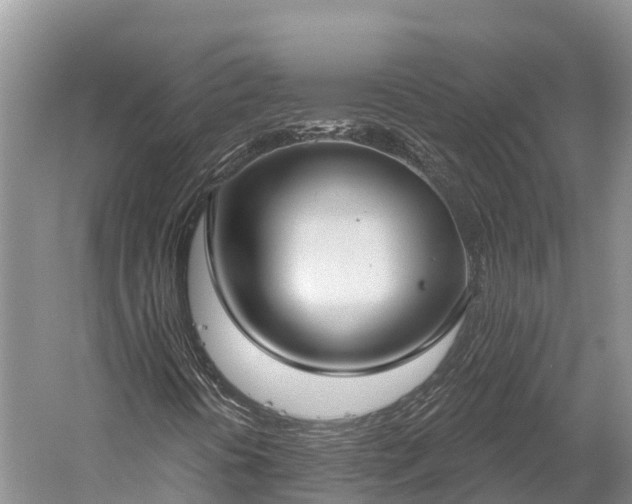 X0000059791394200510281600