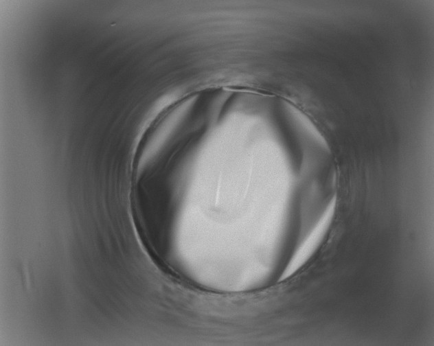 X0000059790003200511041613
