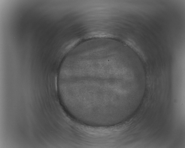 X0000059790014200511041613