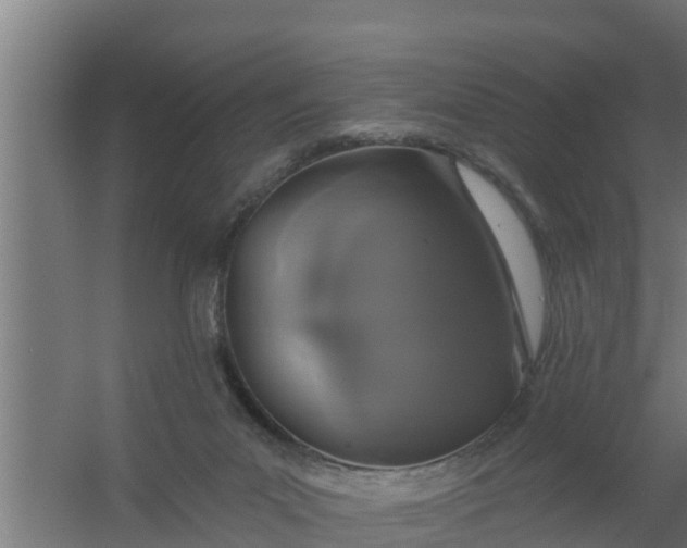 X0000059790023200511041612