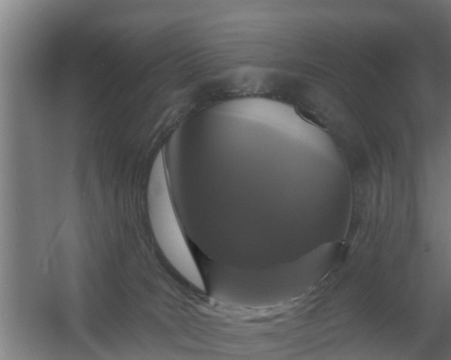 X0000059790035200511041612