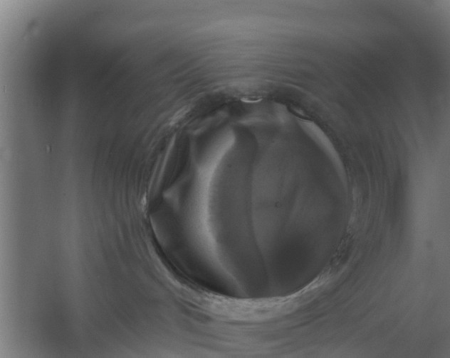 X0000059790048200511041612