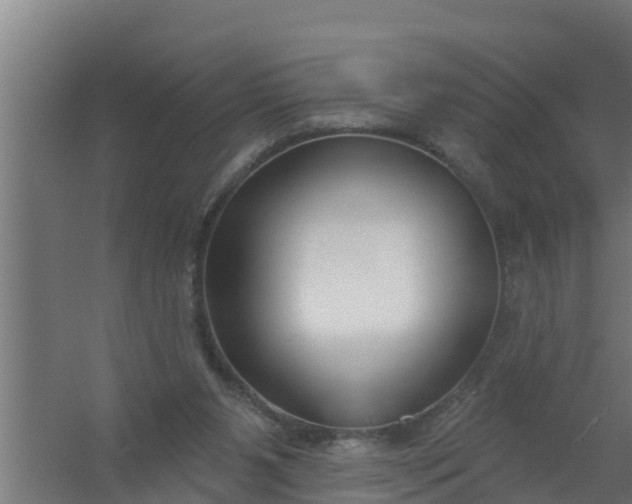 X0000059790111200511041611