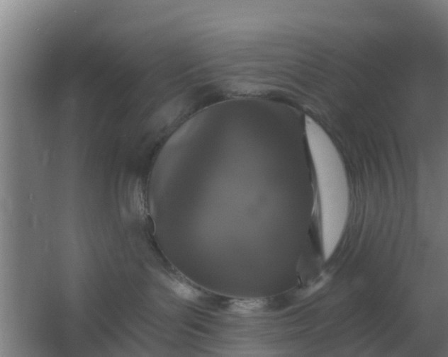 X0000059790143200511041610