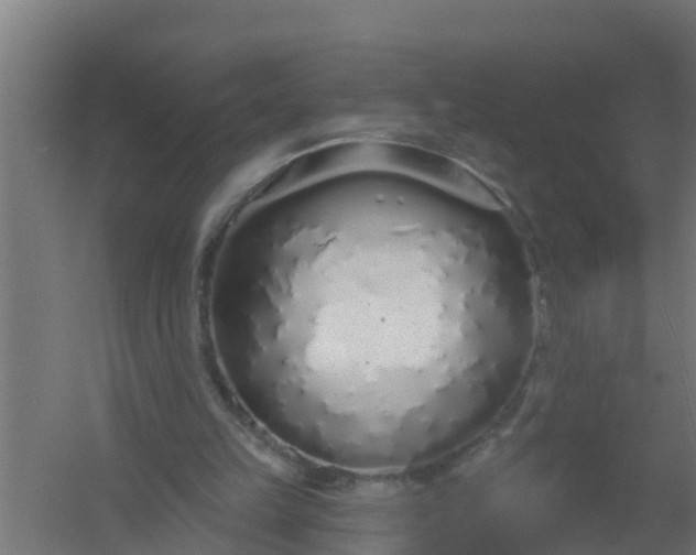 X0000059790149200511041610