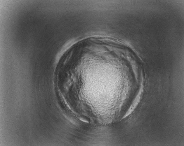 X0000059790151200511041610
