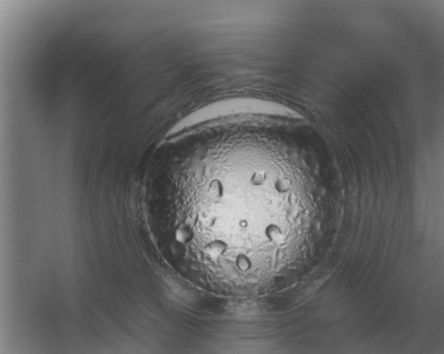 X0000059790181200511041610