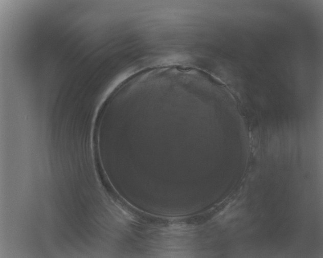 X0000059790196200511041609