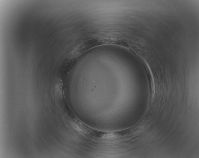 X0000059790231200511041609