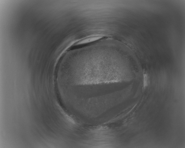 X0000059790243200511041608