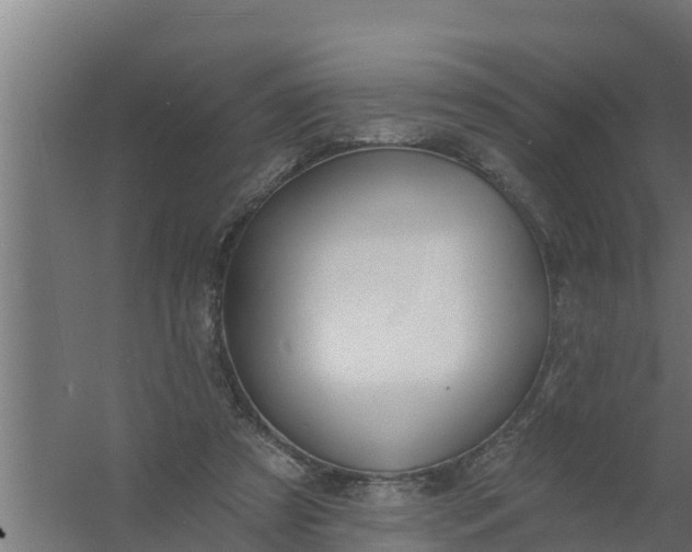 X0000059790305200511041607