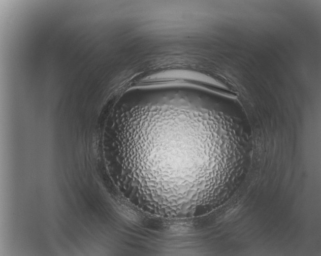 X0000059790359200511041606