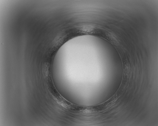 X0000059790412200511041606