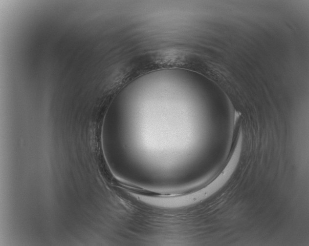 X0000059790416200511041605