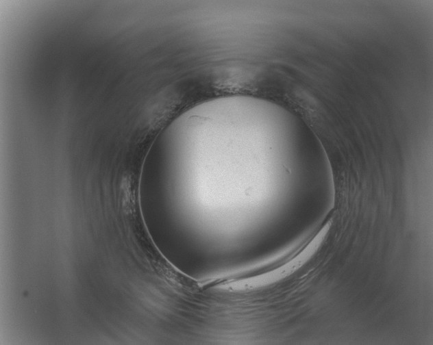X0000059790420200511041605