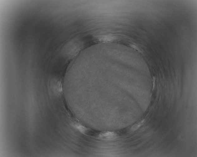 X0000059790431200511041605