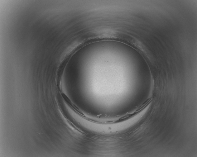 X0000059790677200511041601